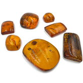 Cognac Amber Rectangular Free Shape Cabochons